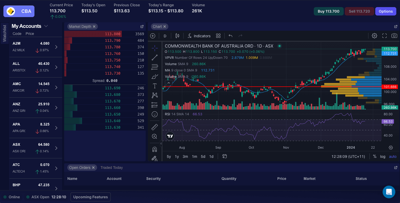 Volatility trading dashboard with ASX market depth and integrated charting
